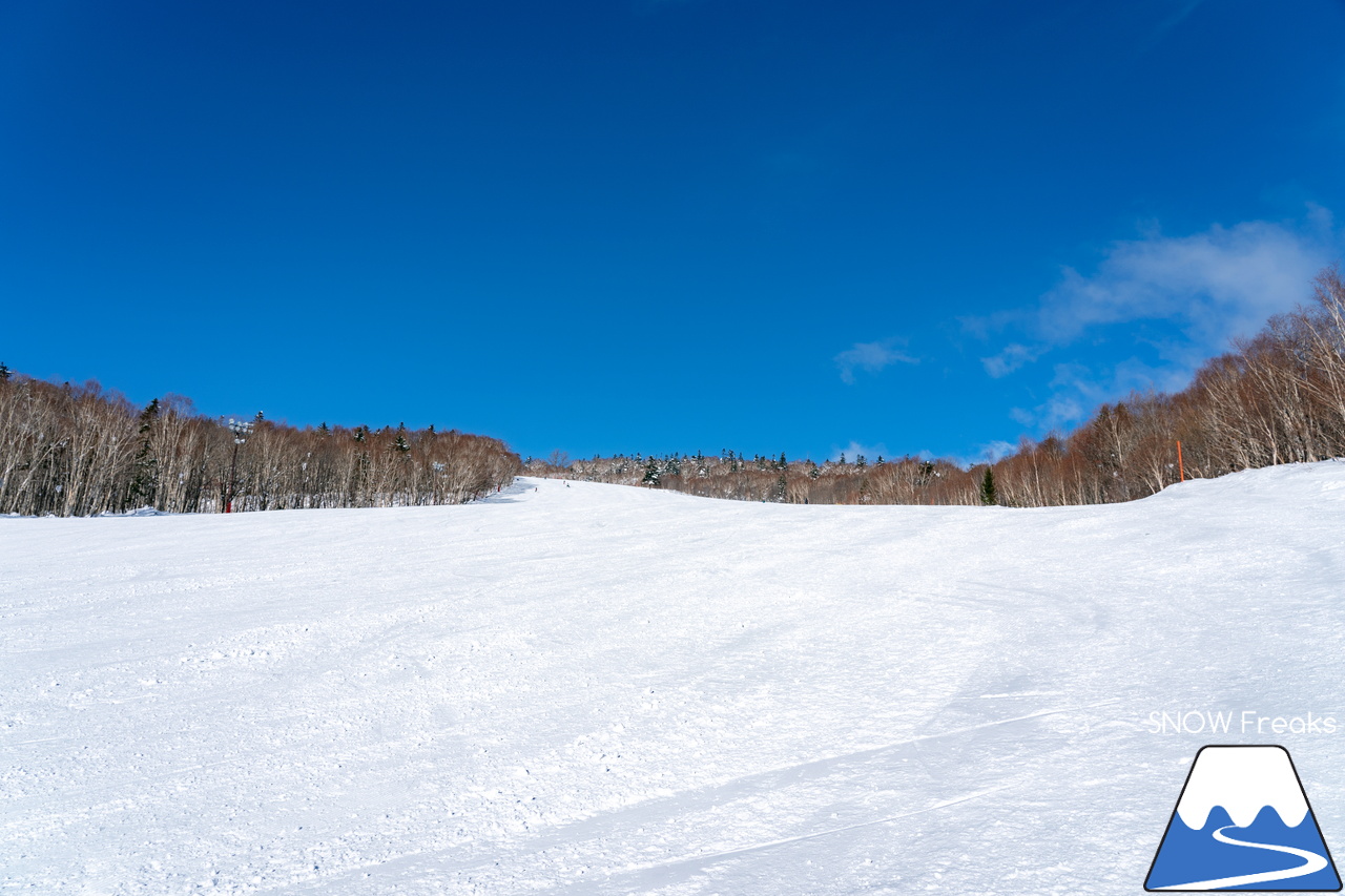 札幌国際スキー場｜北海道最高峰・旭岳も見えた！これ以上はなかなか無い、澄み渡る青空に恵まれた１月最後の日曜日。